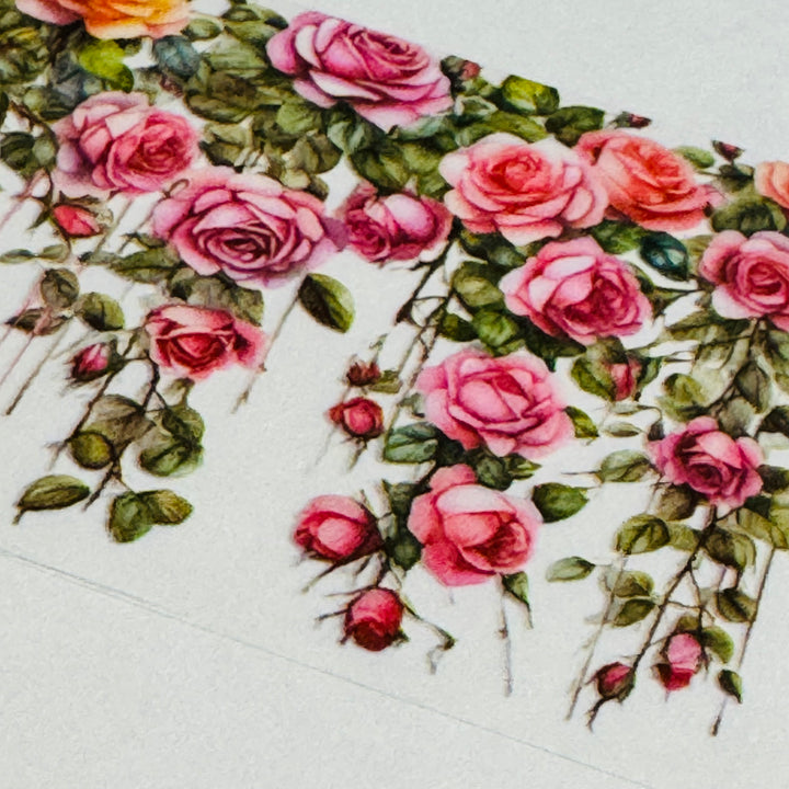 CLIMBING ROSES & VINES Pet Washi Tape ~ 1 Roll ~ 50mm x 2m (7 Feet)