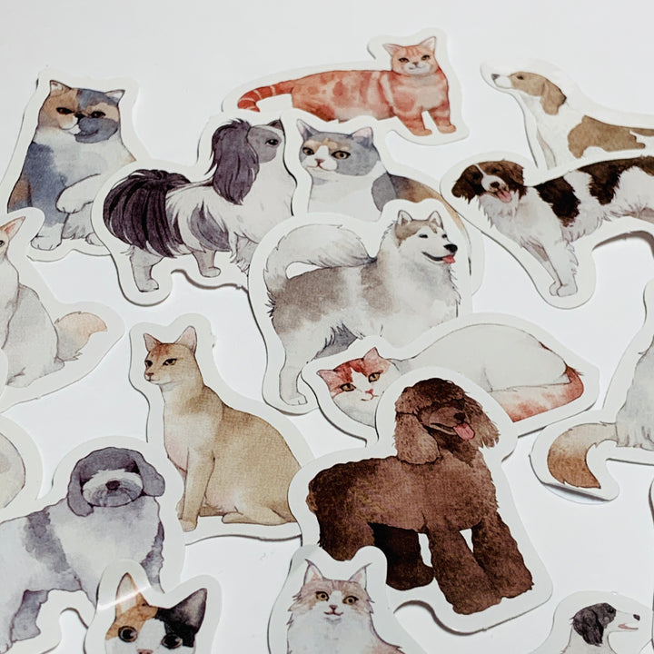 CATS & DOGS Peelable Stickers ~ 45 Pieces ~ 38mm Each