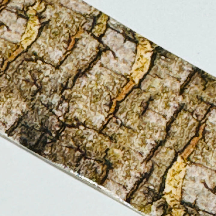 CHINESE TALLOW TREE Stump Woodgrain Washi Tape ~ 1 Roll ~ 40mm x 2m (7 Feet)