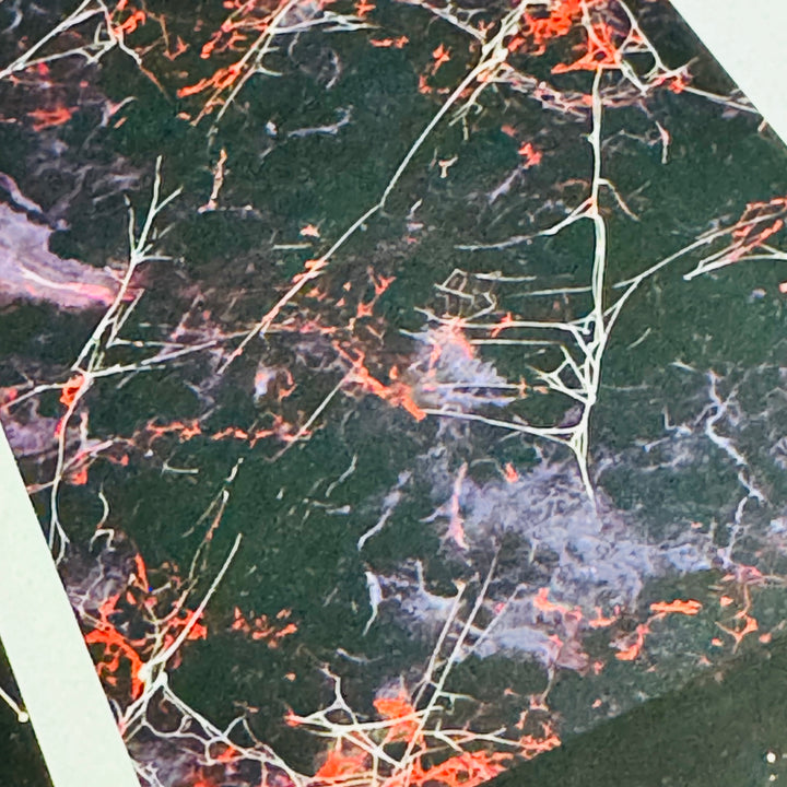 BLOOD SPLATTERS & SPIDERWEBS Creepy Halloween XL Washi Tape ~ 1 Roll ~ 80mm x 2m (7 Feet)