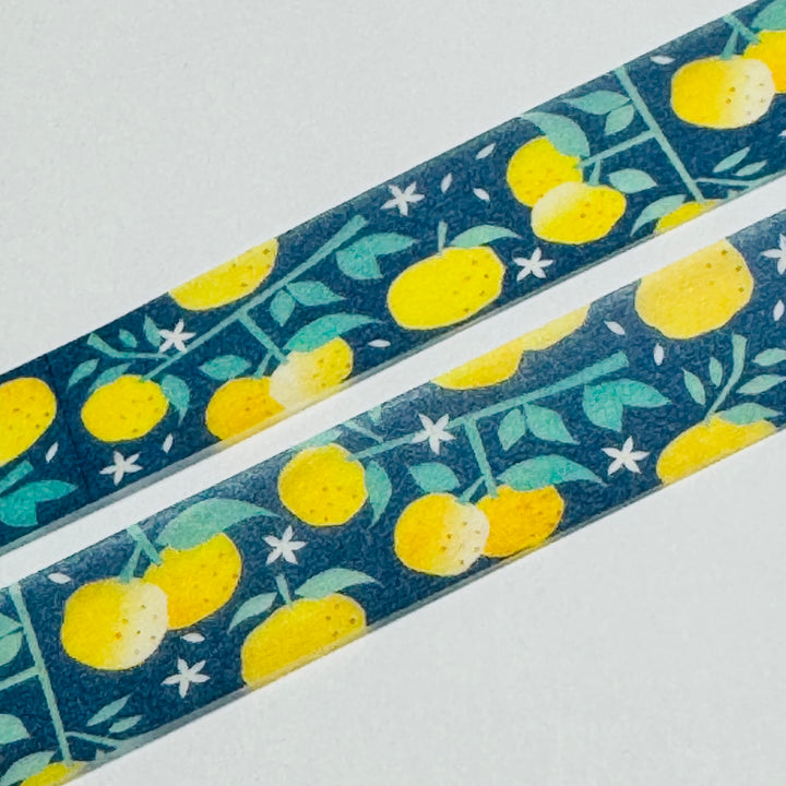 AROMATIC EAST ASIAN YUZU Saien Masking Washi Tape ~ 1 Roll ~ 15mm x 7m (23 Feet)