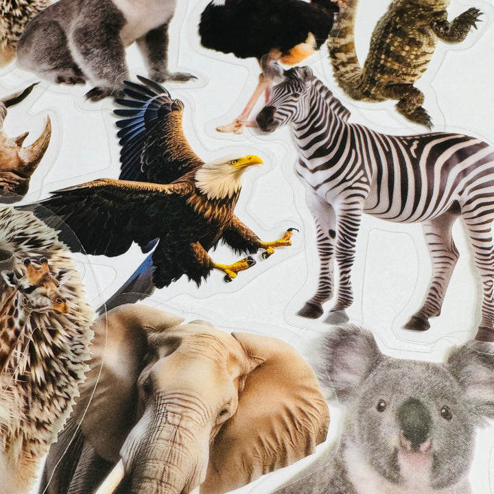 WILD ANIMAL KINGDOM Peelable PET Stickers ~ 50 Pieces ~ Approximately 2 Inches Each