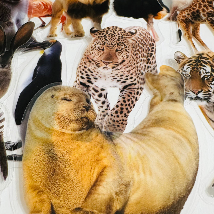 WILD ANIMAL KINGDOM Peelable PET Stickers ~ 50 Pieces ~ Approximately 2 Inches Each