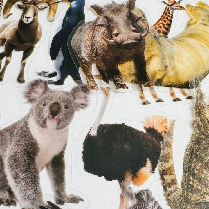 WILD ANIMAL KINGDOM Peelable PET Stickers ~ 50 Pieces ~ Approximately 2 Inches Each