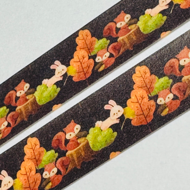 SQUIRRELS & RABBITS AUTUMN PLAYGROUND Washi Tape ~ 1 Roll ~ 15mm x 10m (33 Feet)