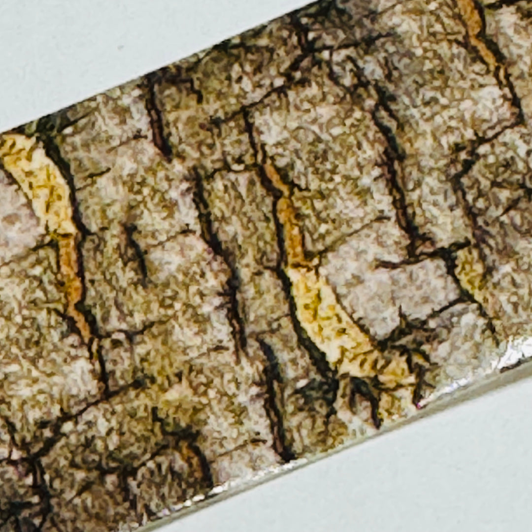 CHINESE TALLOW TREE Stump Woodgrain Washi Tape ~ 1 Roll ~ 40mm x 2m (7 Feet)