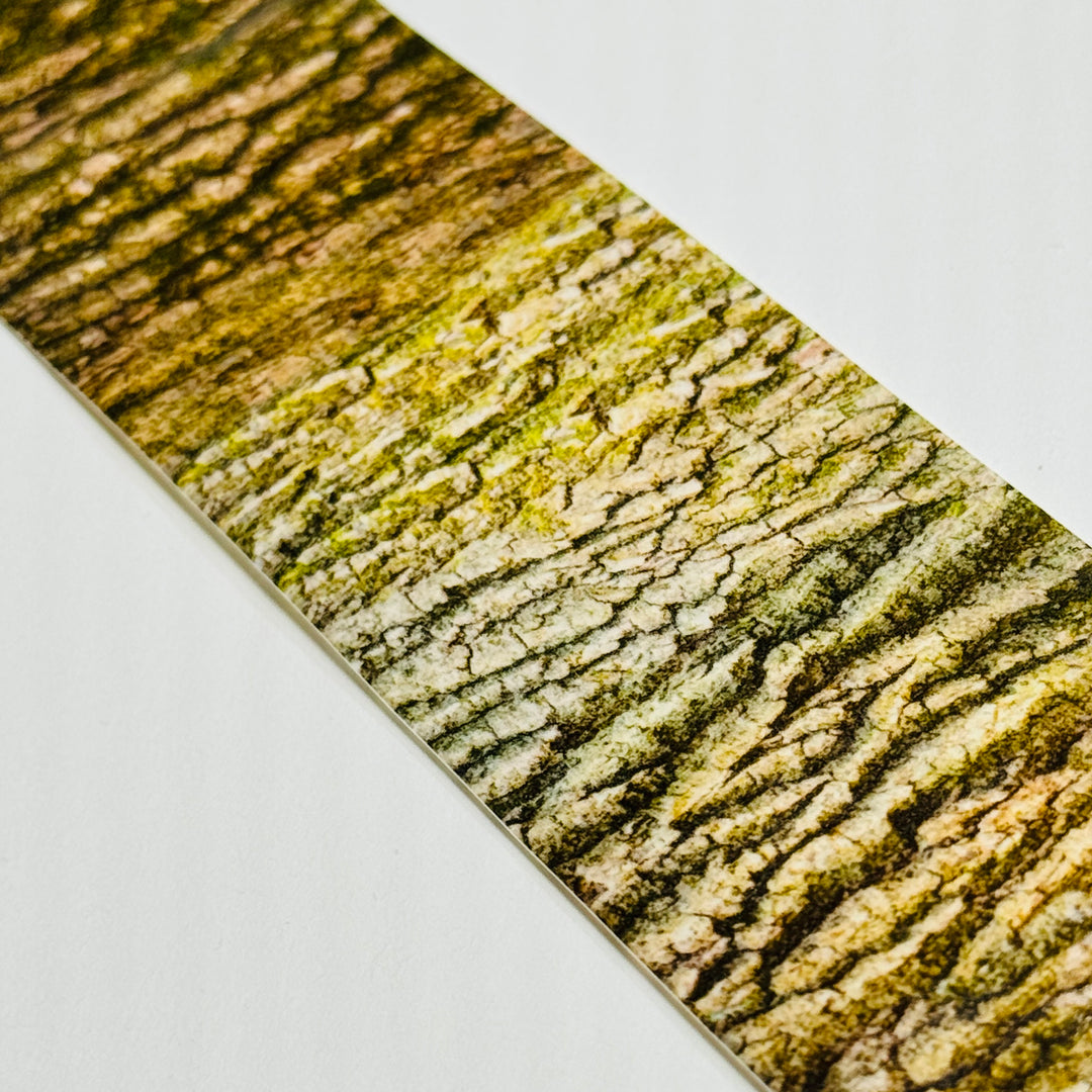 LARGE OAK TREE Stump Woodgrain Washi Tape ~ 1 Roll ~ 40mm x 2m (7 Feet)