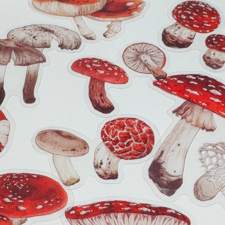 FUNGUS, TOADSTOOLS And Other MUSHROOMS Peelable Sticker Pack ~ 40 Pieces