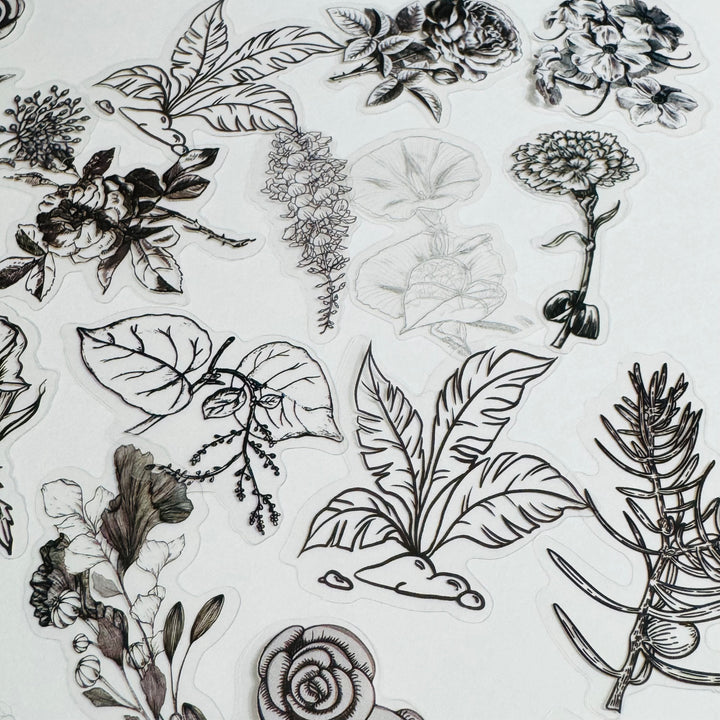 MONOCHROMATIC BLACK SKETCHED Flowers Transparent Peelable Sticker Ephemera Pack ~ 60  Pieces ~ Each Sticker is  20-50mm