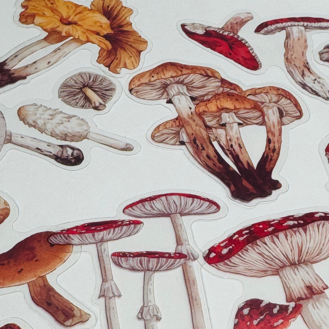 FUNGUS, TOADSTOOLS And Other MUSHROOMS Peelable Sticker Pack ~ 40 Pieces