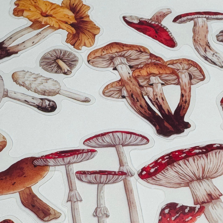 FUNGUS, TOADSTOOLS And Other MUSHROOMS Peelable Sticker Pack ~ 40 Pieces