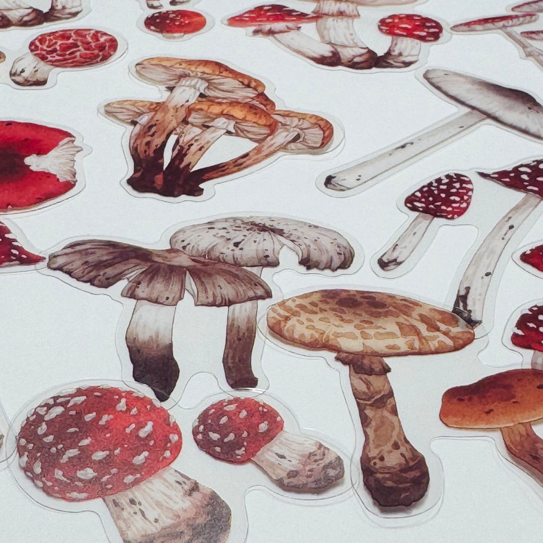 FUNGUS, TOADSTOOLS And Other MUSHROOMS Peelable Sticker Pack ~ 40 Pieces