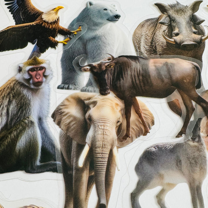 WILD ANIMAL KINGDOM Peelable PET Stickers ~ 50 Pieces ~ Approximately 2 Inches Each