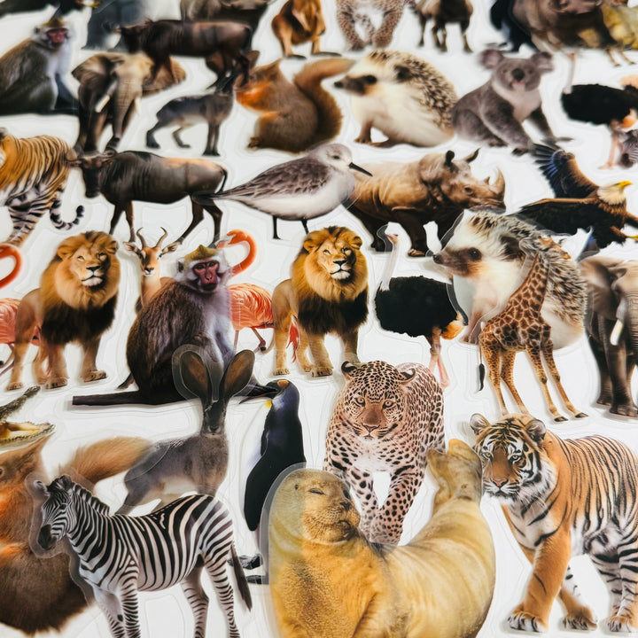 WILD ANIMAL KINGDOM Peelable PET Stickers ~ 50 Pieces ~ Approximately 2 Inches Each