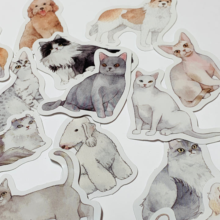 CATS & DOGS Peelable Stickers ~ 45 Pieces ~ 38mm Each