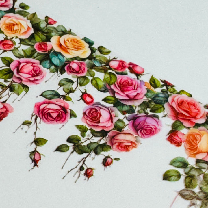 CLIMBING ROSES & VINES Pet Washi Tape ~ 1 Roll ~ 50mm x 2m (7 Feet)