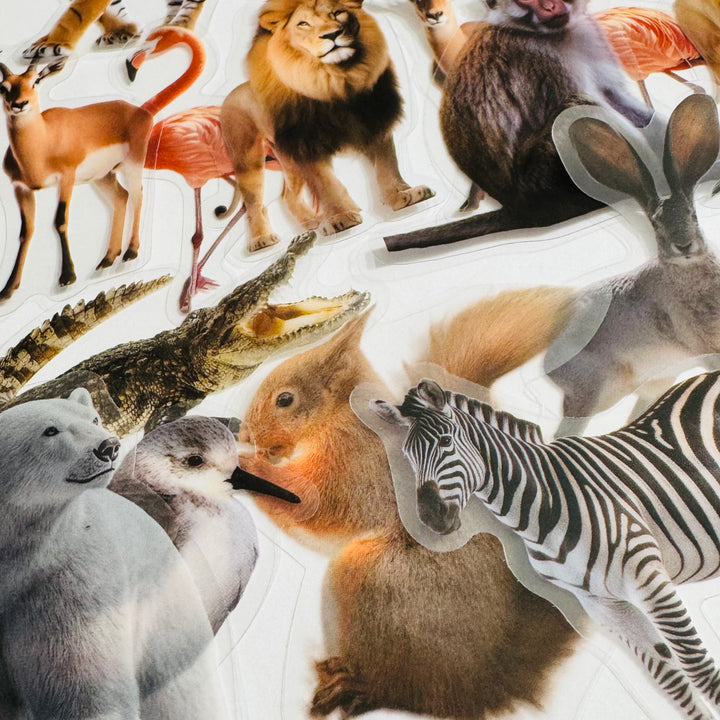 WILD ANIMAL KINGDOM Peelable PET Stickers ~ 50 Pieces ~ Approximately 2 Inches Each
