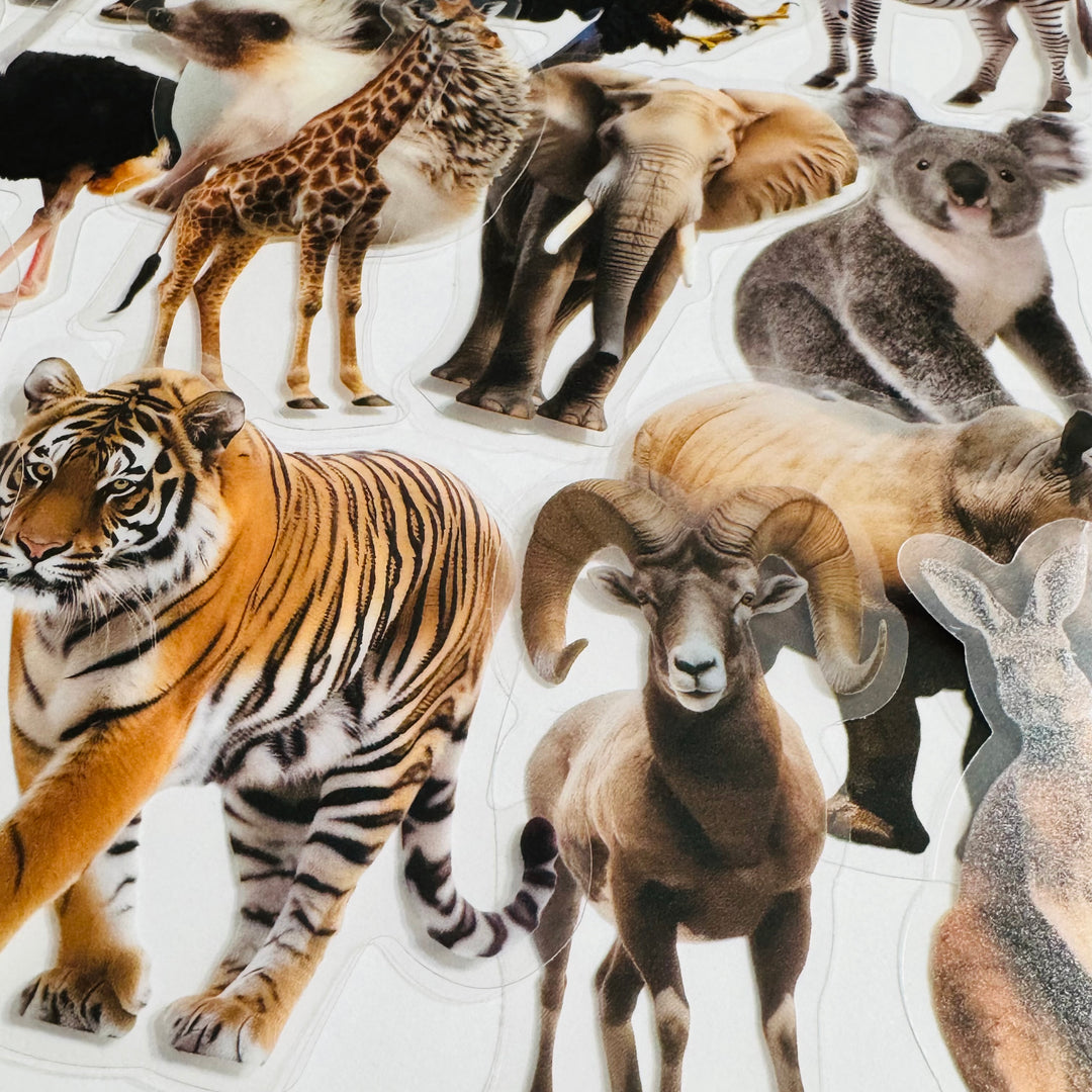 WILD ANIMAL KINGDOM Peelable PET Stickers ~ 50 Pieces ~ Approximately 2 Inches Each