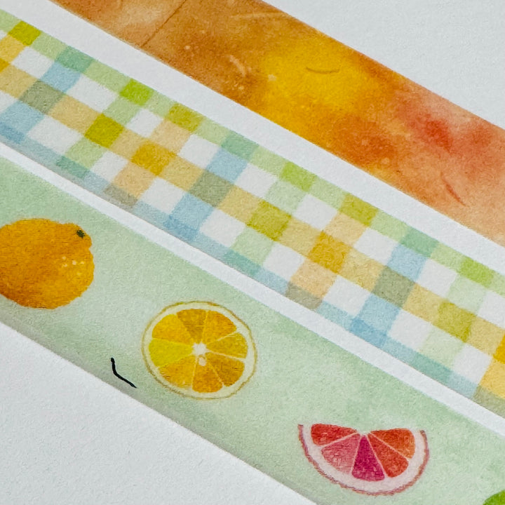 CITRUS SUMMER FRUIT Saien Masking Washi Tape Set ~ 3 Roll ~ 15mm x 7m (23 Feet Each Roll)
