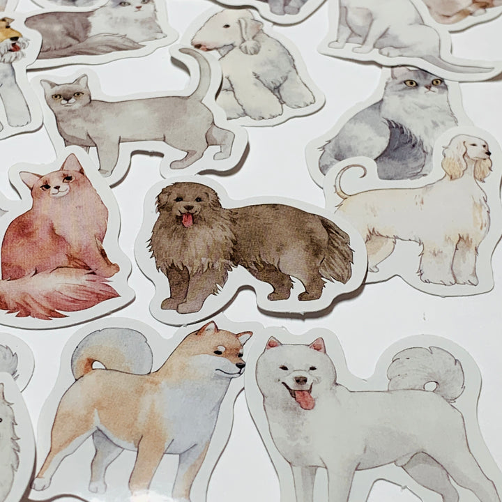 CATS & DOGS Peelable Stickers ~ 45 Pieces ~ 38mm Each