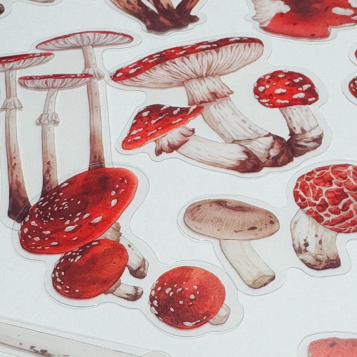 FUNGUS, TOADSTOOLS And Other MUSHROOMS Peelable Sticker Pack ~ 40 Pieces