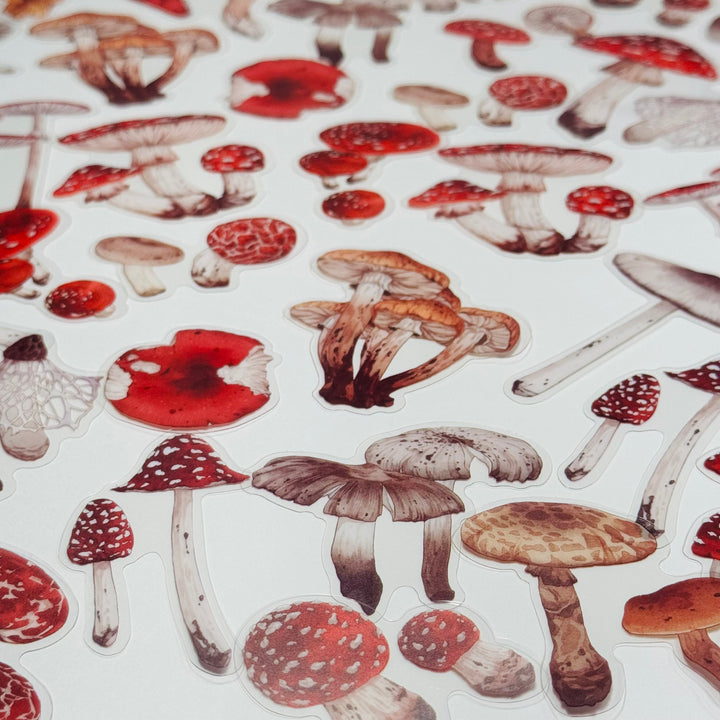 FUNGUS, TOADSTOOLS And Other MUSHROOMS Peelable Sticker Pack ~ 40 Pieces