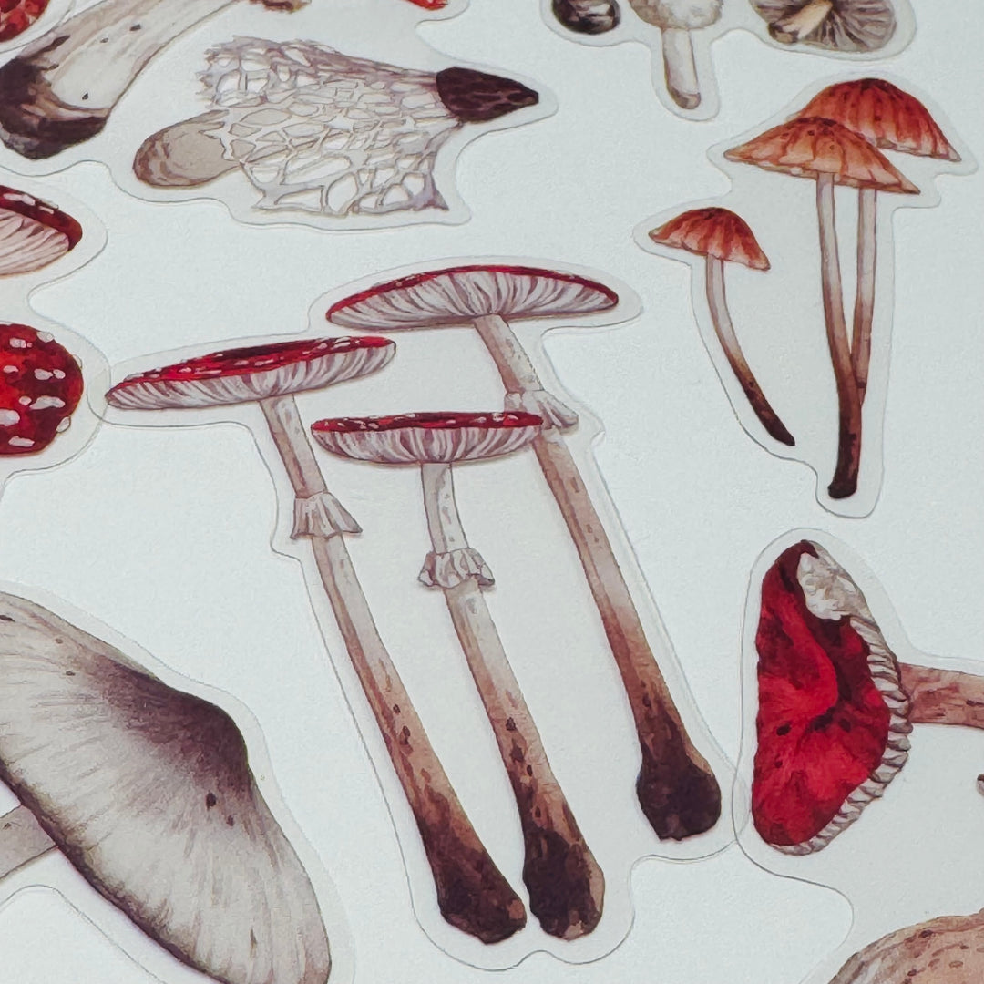 FUNGUS, TOADSTOOLS And Other MUSHROOMS Peelable Sticker Pack ~ 40 Pieces