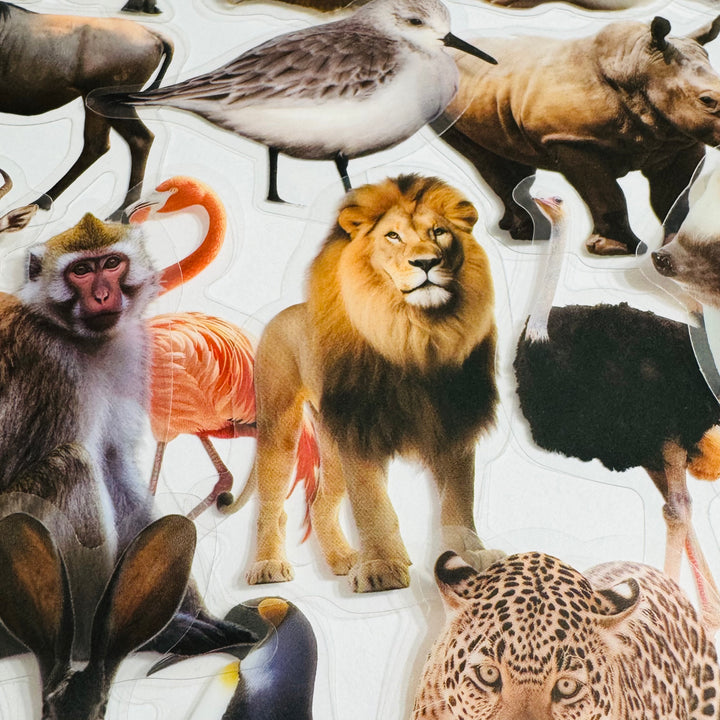 WILD ANIMAL KINGDOM Peelable PET Stickers ~ 50 Pieces ~ Approximately 2 Inches Each