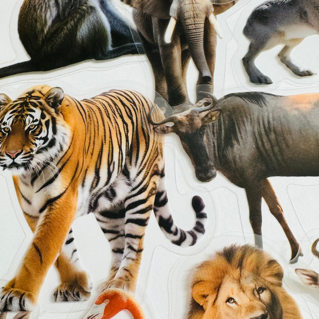 WILD ANIMAL KINGDOM Peelable PET Stickers ~ 50 Pieces ~ Approximately 2 Inches Each