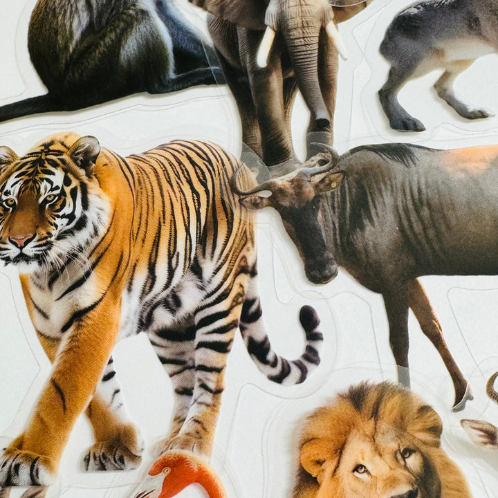 WILD ANIMAL KINGDOM Peelable PET Stickers ~ 50 Pieces ~ Approximately 2 Inches Each