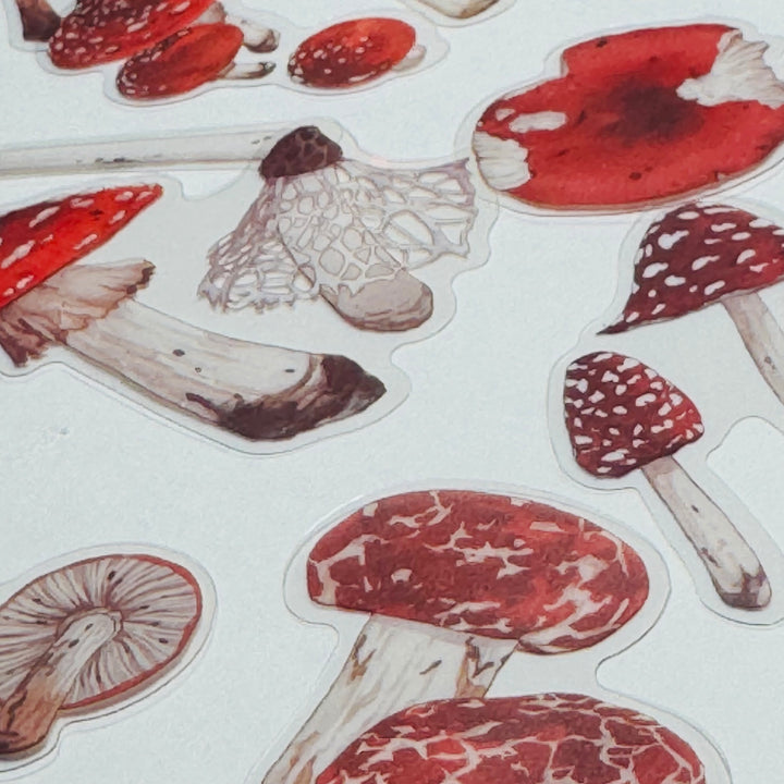 FUNGUS, TOADSTOOLS And Other MUSHROOMS Peelable Sticker Pack ~ 40 Pieces