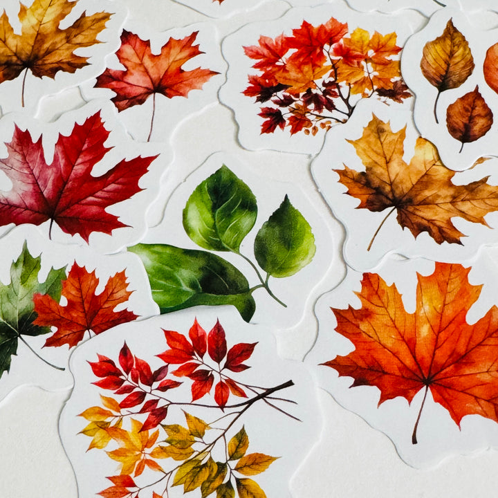 AUTUMN LETTER LEAF (LEAVES) Peelable Stickers  ~ 45 Pieces ~ Each Sticker is Approximately 38mm