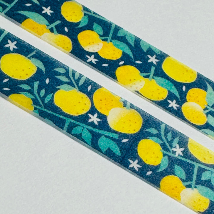 AROMATIC EAST ASIAN YUZU Saien Masking Washi Tape ~ 1 Roll ~ 15mm x 7m (23 Feet)