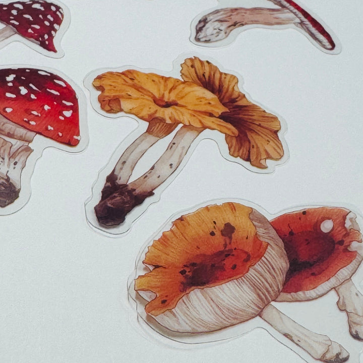 FUNGUS, TOADSTOOLS And Other MUSHROOMS Peelable Sticker Pack ~ 40 Pieces