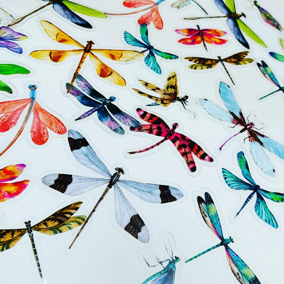 RAINBOW DRAGONFLIES Transparent Peelable Stickers ~ 40 Stickers - 25 to 75mm In Size