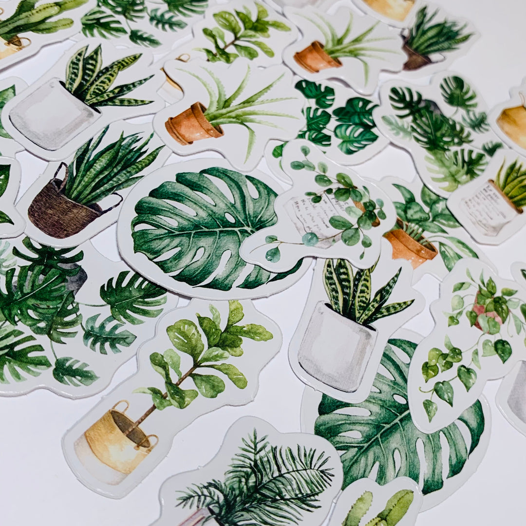 HOUSE PLANTS CLEAN Air Peelable Stickers  ~ 45 Pieces ~ Each Sticker is Approximately 38mm