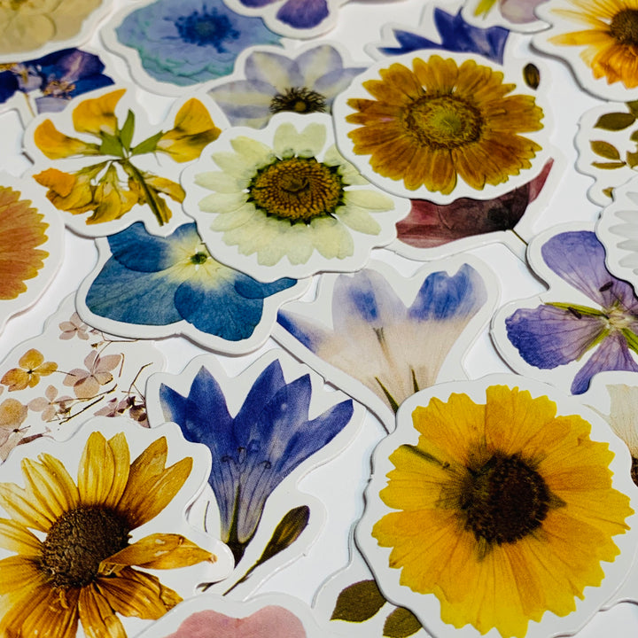 WILDFLOWER FIELD & GARDEN Peelable Stickers  ~ 46 Pieces ~ Each Sticker is Approximately 38mm