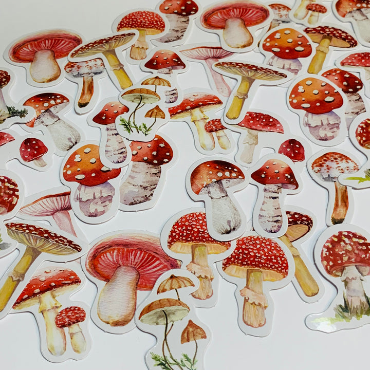 MUSHROOMS And TOADSTOOLS VARIETALS Peelable Stickers  ~ 45 Pieces ~ Each Sticker is Approximately 38mm