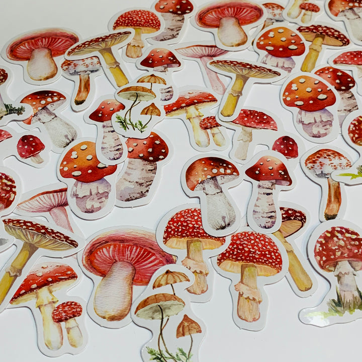 MUSHROOMS And TOADSTOOLS VARIETALS Peelable Stickers  ~ 45 Pieces ~ Each Sticker is Approximately 38mm