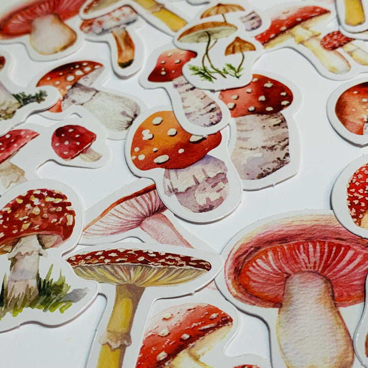 MUSHROOMS And TOADSTOOLS VARIETALS Peelable Stickers  ~ 45 Pieces ~ Each Sticker is Approximately 38mm