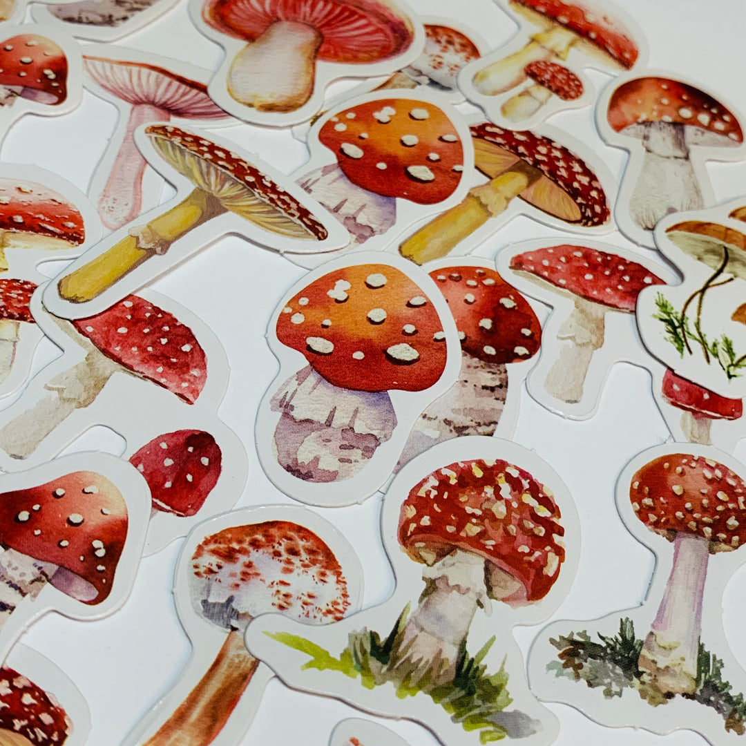 MUSHROOMS And TOADSTOOLS VARIETALS Peelable Stickers  ~ 45 Pieces ~ Each Sticker is Approximately 38mm