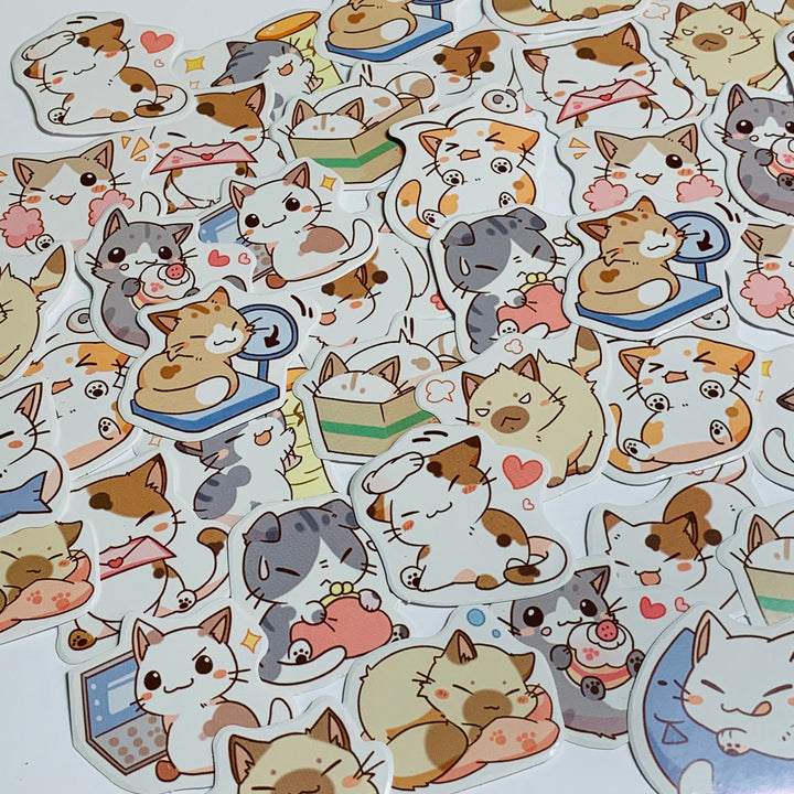 EVERYDAY LIFE Of A CAT Peelable Stickers ~ 45 Pieces ~ Each Sticker is Approximately 38mm