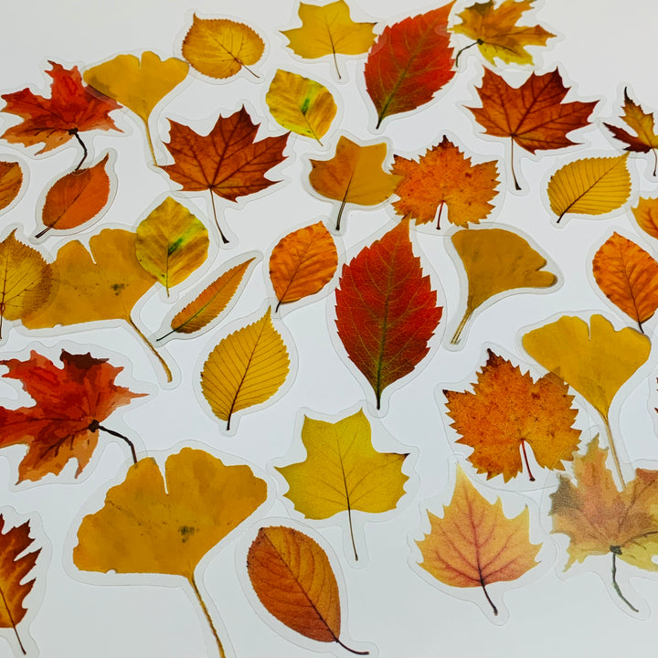WHEN LEAVES FALL Peelable Sticker Ephemera Pack ~ 40 Pieces, Each Sticker 40-50mm
