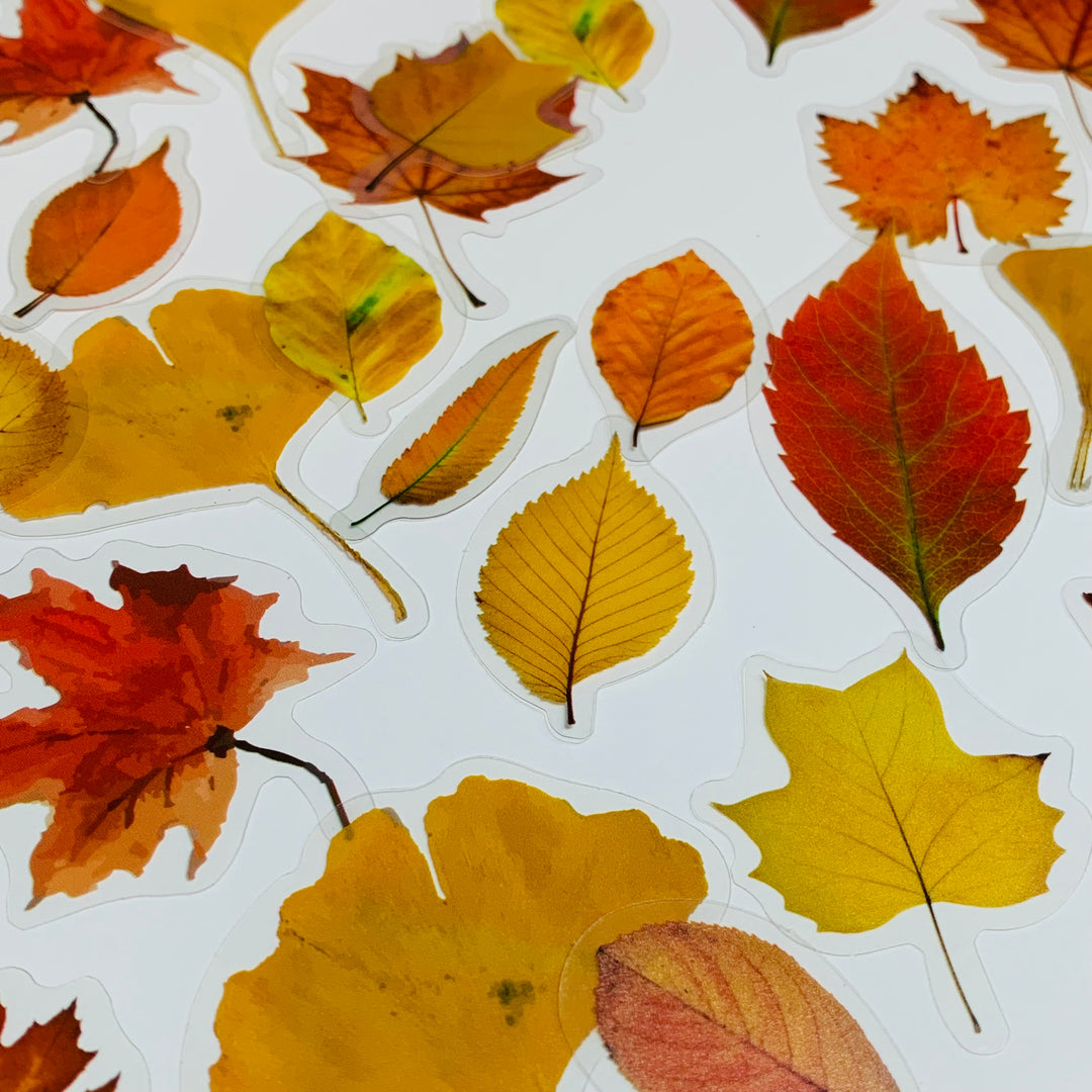WHEN LEAVES FALL Peelable Sticker Ephemera Pack ~ 40 Pieces, Each Sticker 40-50mm