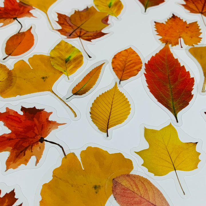 WHEN LEAVES FALL Peelable Sticker Ephemera Pack ~ 40 Pieces, Each Sticker 40-50mm