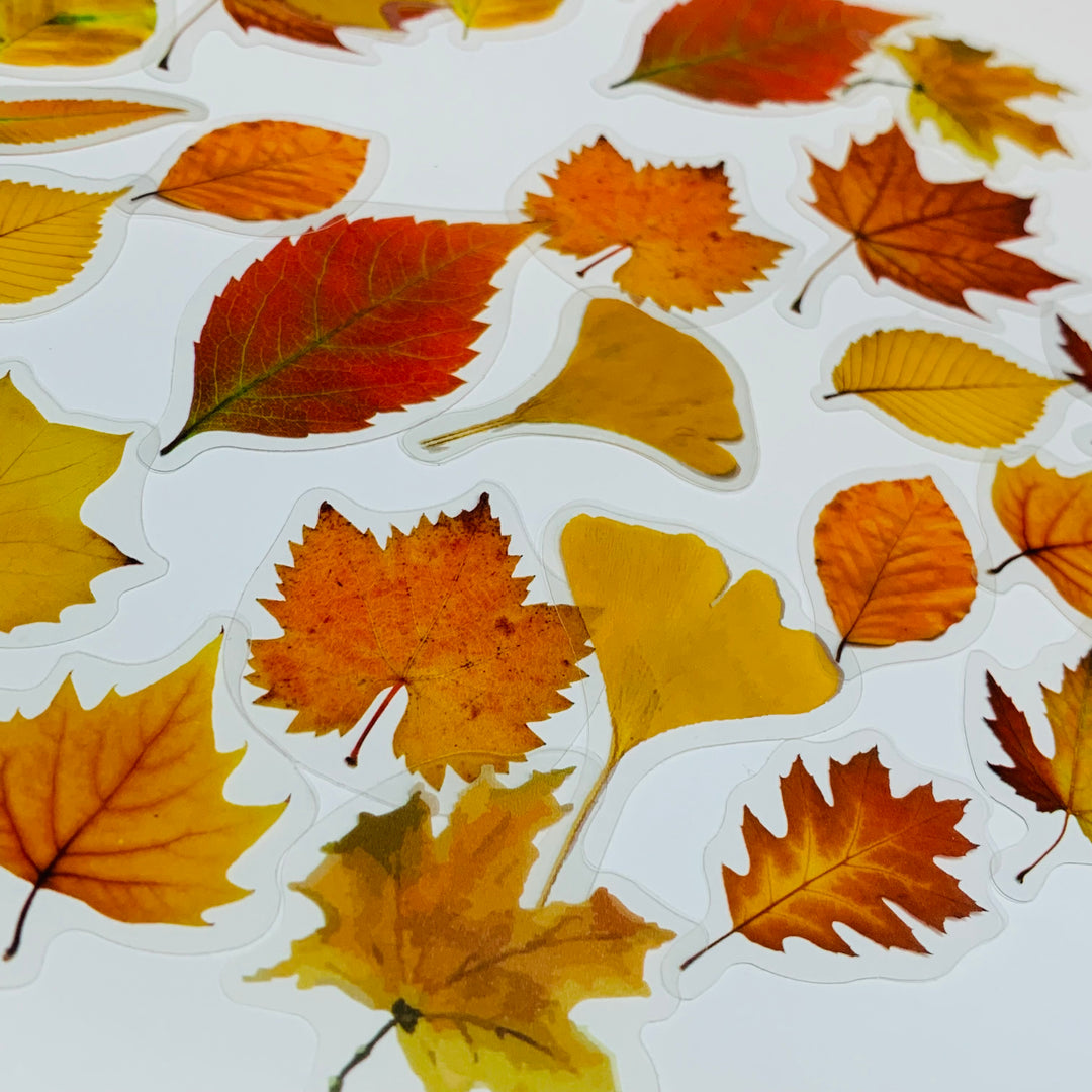 WHEN LEAVES FALL Peelable Sticker Ephemera Pack ~ 40 Pieces, Each Sticker 40-50mm