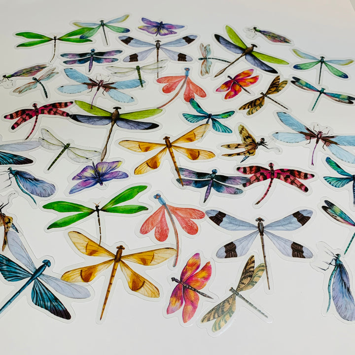 RAINBOW DRAGONFLIES Transparent Peelable Stickers ~ 40 Stickers - 25 to 75mm In Size