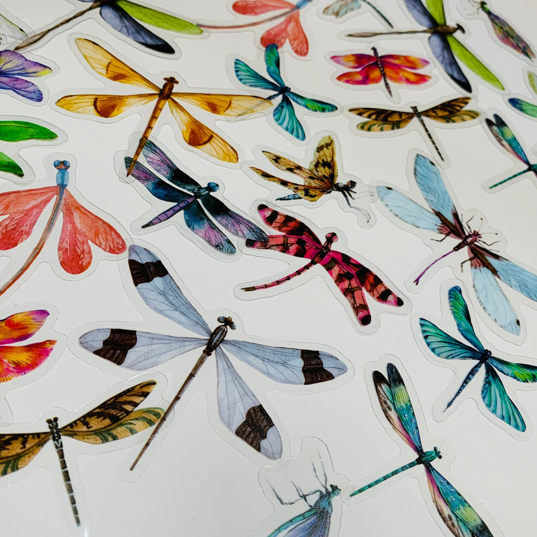 RAINBOW DRAGONFLIES Transparent Peelable Stickers ~ 40 Stickers - 25 to 75mm In Size