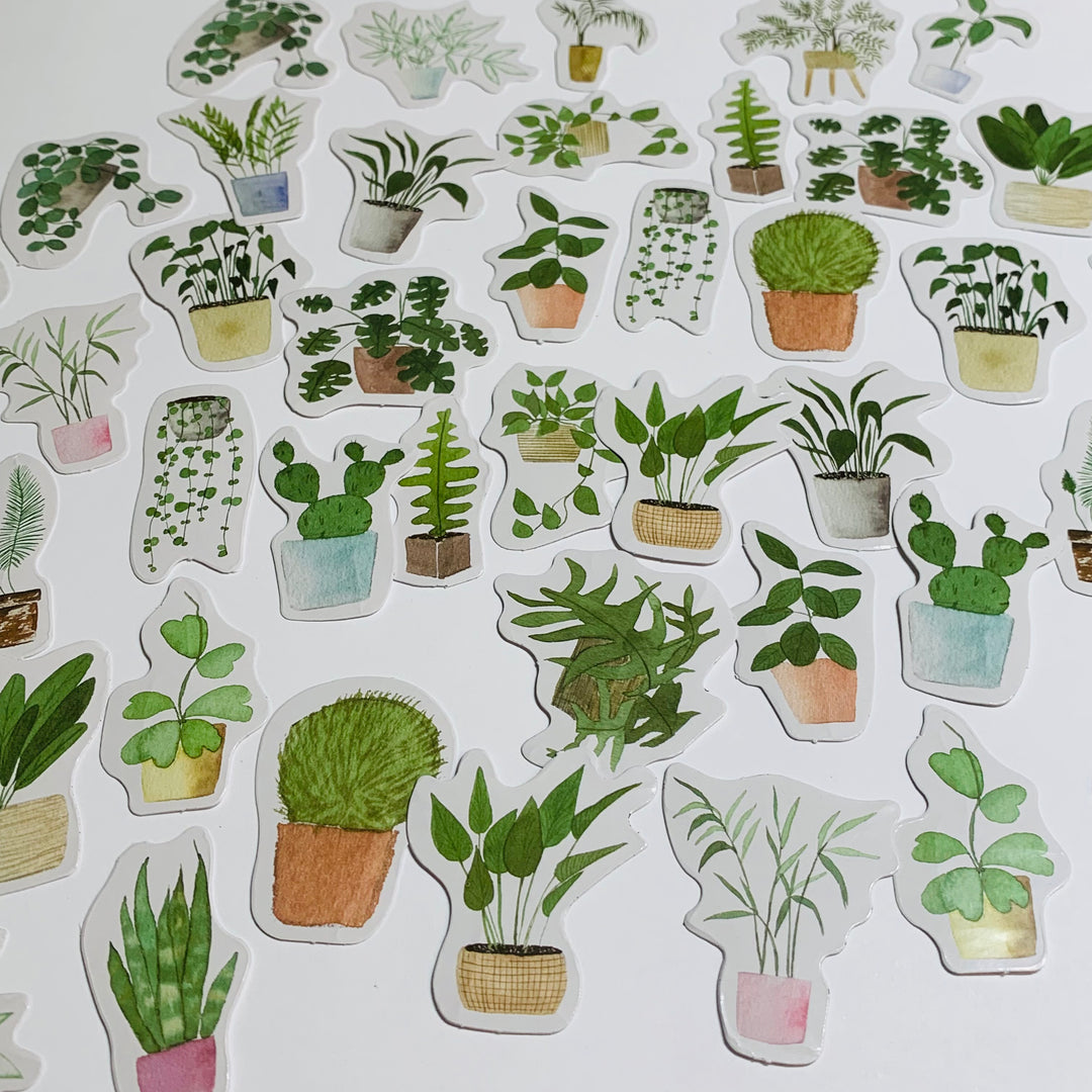 HOUSE PLANTS V2 CLEAN Air Peelable Stickers  ~ 46 Pieces ~ Each Sticker is Approximately 38mm