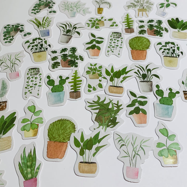 HOUSE PLANTS V2 CLEAN Air Peelable Stickers  ~ 46 Pieces ~ Each Sticker is Approximately 38mm